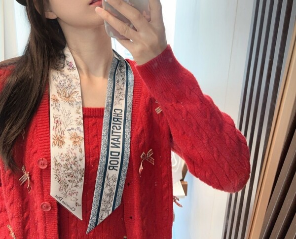 위핑,디올 DIOR 로고 모던 디자인 패턴 리본