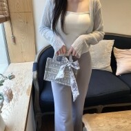 디올 북토트 미니백