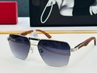 까르띠에 Cartier 남성 클래식 빈티지 트렌드 선글라스 CT0282S 59口17-140