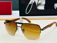 까르띠에 Cartier 남성 클래식 빈티지 트렌드 선글라스 CT0282S 59口17-140