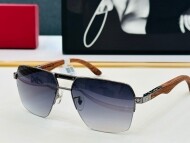 까르띠에 Cartier 남성 클래식 빈티지 트렌드 선글라스 CT0282S 59口17-140