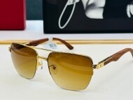 까르띠에 Cartier 남성 클래식 빈티지 트렌드 선글라스 CT0283S 58口17-140