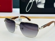 까르띠에 Cartier 남성 클래식 빈티지 트렌드 선글라스 CT0283S 58口17-140