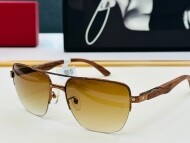 까르띠에 Cartier 남성 클래식 빈티지 트렌드 선글라스 CT0283S 58口17-140