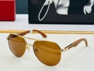 까르띠에 Cartier 남성 클래식 빈티지 트렌드 선글라스 CT0284S 58口17-140