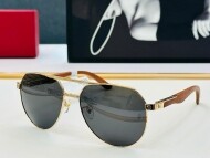 까르띠에 Cartier 남성 클래식 빈티지 트렌드 선글라스 CT0284S 58口17-140