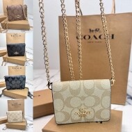 COACH 코치 미니 월렛 체인 크로스백 C6650