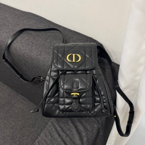 위핑,디올 카로 스몰 백팩