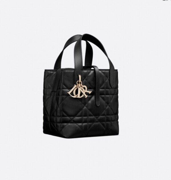 위핑,디올 까나쥬 버티컬 토트백 스몰
