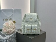 디올 카로백팩 미디움