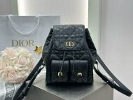 디올 카로백팩 미디움