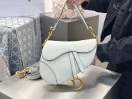 디올 새들백 미디움