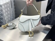 디올 새들백 스몰