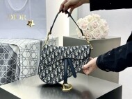 디올 새들백 미디움