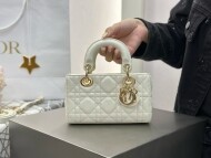 디올 디조이백 미니