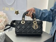 디올 디조이백 스몰