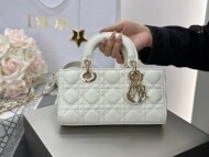 디올 디조이백 스몰