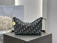 디올 스타 호보백