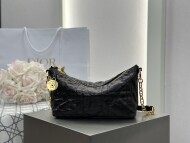 디올 스타 호보백