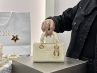 디올 디조이백 미니