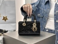 디올 디조이백 미니