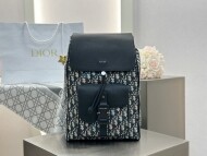 디올 새들 백팩