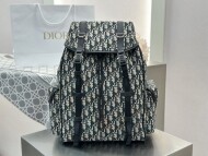 디올 힛더로드 백팩