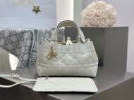 디올 투주르백 스몰