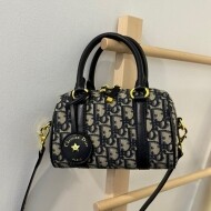 디올 17 나노 백