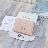 디올 카로 글리신 카드지갑