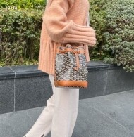 고야드 쁘띠플로 버킷백