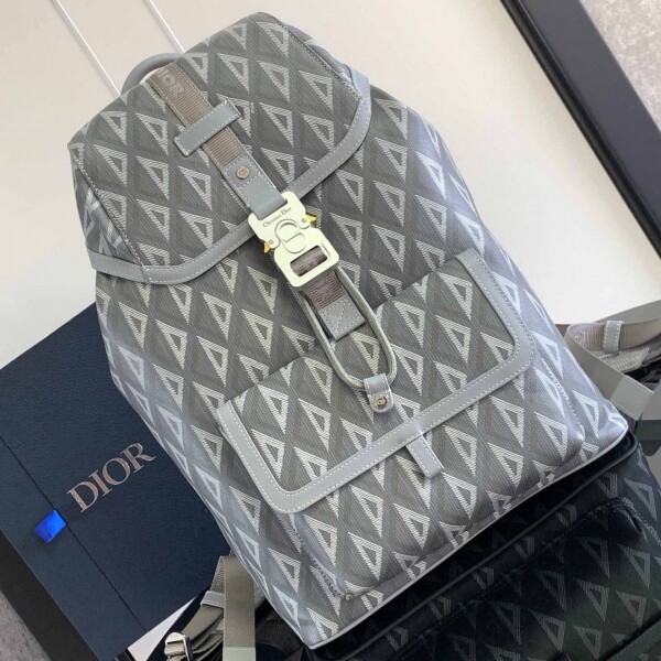 위핑,DIOR 디올 힛 더 로드 백팩 2칼라 1ESBA021CDP