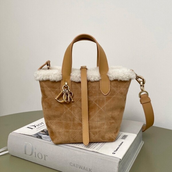 블링크,디올 알프스 뚜주흐 버티컬 나노 토트백 매크로까나쥬 스웨이드 베이지 S6100OMTU_M62E