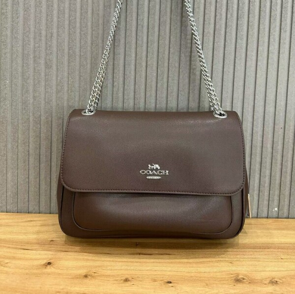 블링크,코치 여성 Elodie 크로스백 브라운 CCF09 SVBK