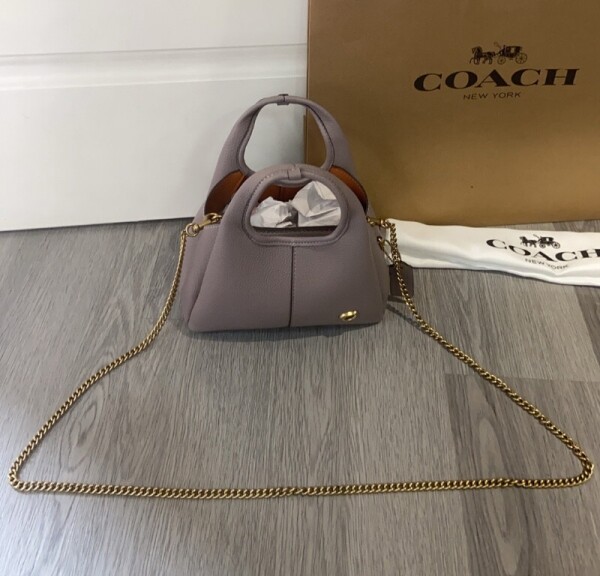 블링크,코치 라나 19 숄더백 CCY33