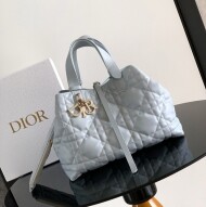 디올 뚜주흐 백 미디엄 매크로까나쥬 그리 트리아농 M2821OSNW