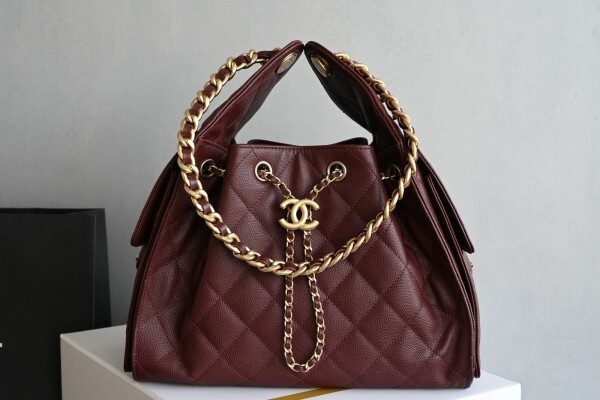 블링크,샤넬 25백 호보백  AS5293