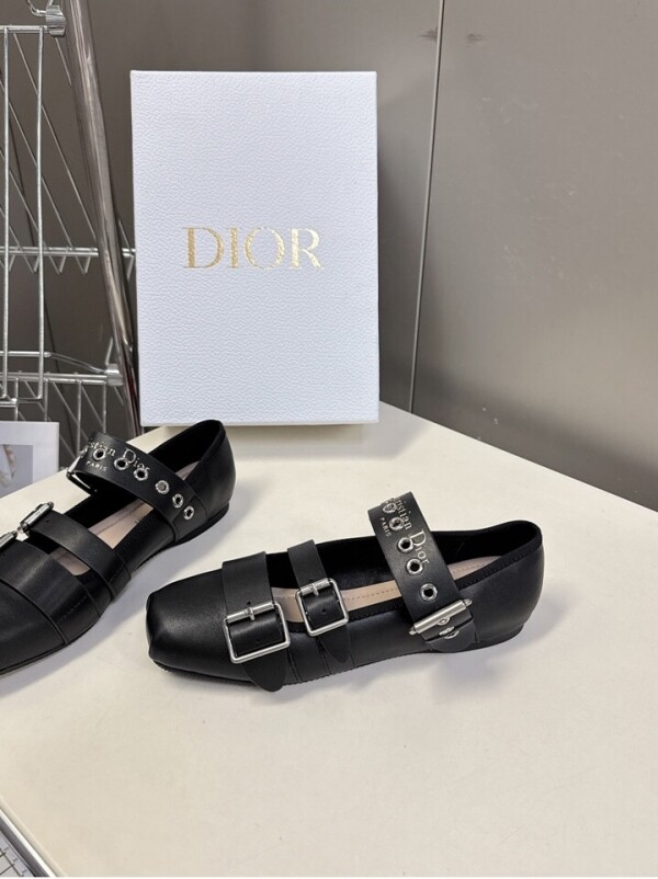 위핑,디올 펑크 Dior Punk 발레 플렛