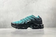 Nike Air Max Plus DM0032-401