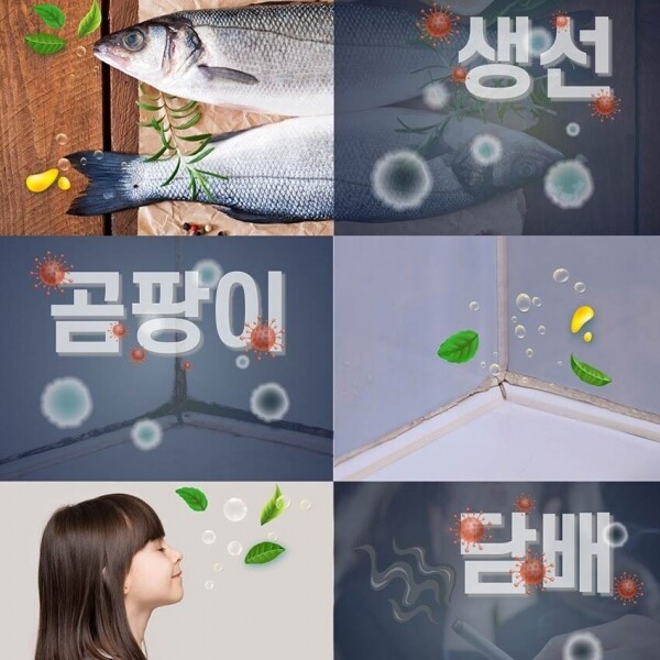 위핑,엠씨랩닥터2만능다목적클리너 곰팡이제거 생활얼룩 각종냄새 탈취살균세정 음식물얼룩 찌든때